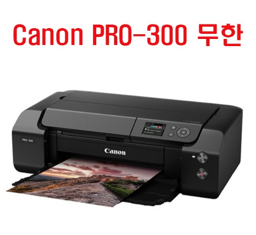 Canon PRO-300 무한 잉크 장착 10색 안료 포함  프린터제외 작업비 포함 (사전예약)